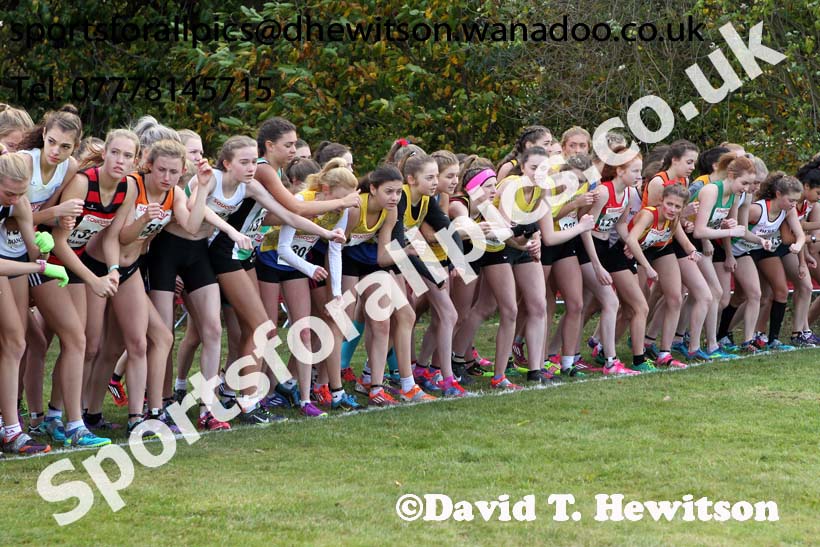 Womens under-17s, 2016 National Cross Cpuntry Relays, Berry Hill Park, Mansfield. Photo: David T. Hewitson/Sports for All Pics
